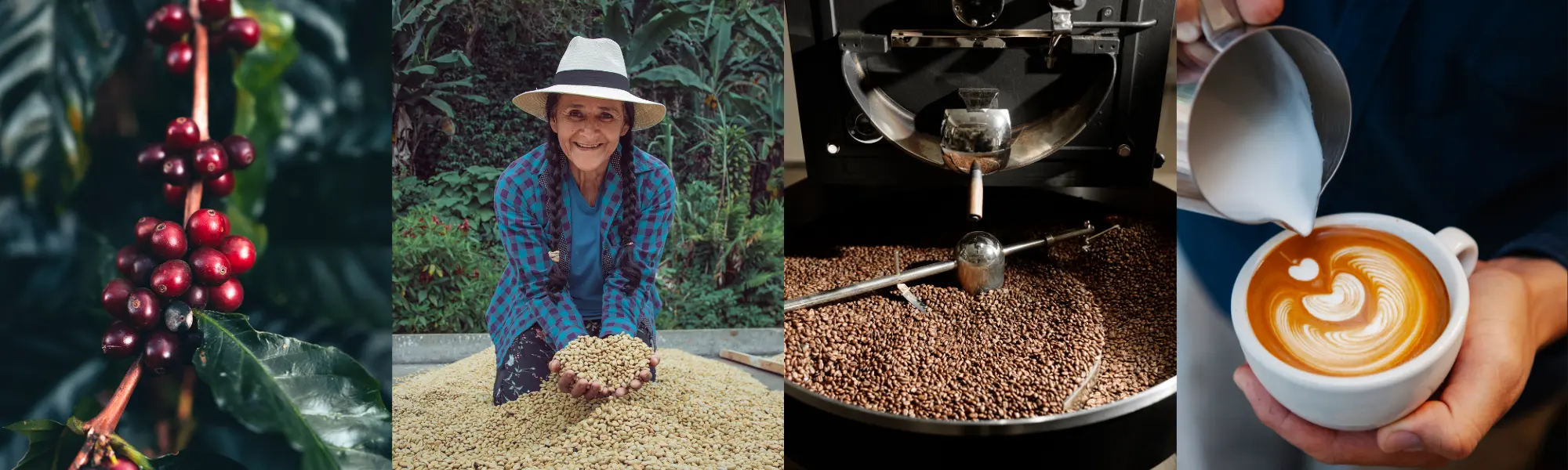 Kaffee Catering, Barista Service, Kaffee, Specialty Coffee, Barista Kurse, mobile cafe